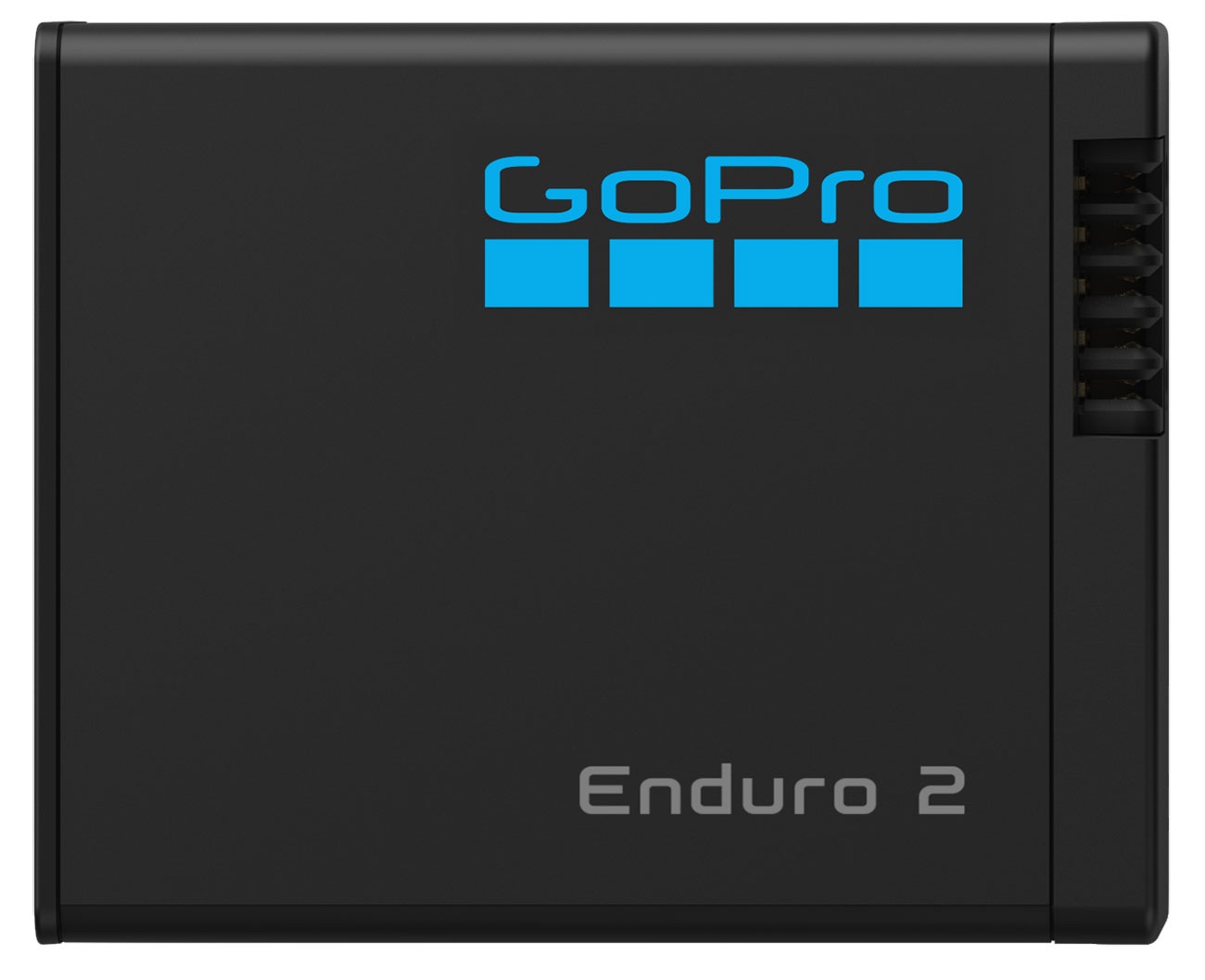 GoPro Enduro 2 Battery Mission1/Pro