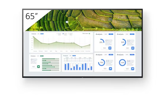 Monitor 65" Sony FW-65BZ30L Signage Pro Display